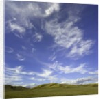 Lofty cumulus and cirrus clouds over sagebrush prairie by Anonymous