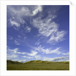 Lofty cumulus and cirrus clouds over sagebrush prairie by Anonymous