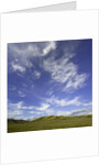 Lofty cumulus and cirrus clouds over sagebrush prairie by Anonymous