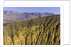Ubehebe Crater in evening in Death Valley National Park by Anonymous