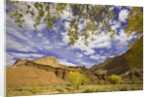 Castle and Fluted Wall Formations in Capitol Reef National Park by Anonymous