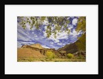 Castle and Fluted Wall Formations in Capitol Reef National Park by Anonymous