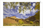Castle and Fluted Wall Formations in Capitol Reef National Park by Anonymous