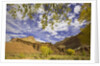 Castle and Fluted Wall Formations in Capitol Reef National Park by Anonymous