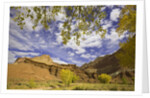 Castle and Fluted Wall Formations in Capitol Reef National Park by Anonymous
