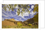 Castle and Fluted Wall Formations in Capitol Reef National Park by Anonymous