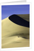 Sand dune at Eureka Valley Dunes in Death Valley National Park by Anonymous