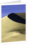 Sand dune at Eureka Valley Dunes in Death Valley National Park by Anonymous