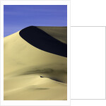 Sand dune at Eureka Valley Dunes in Death Valley National Park by Anonymous