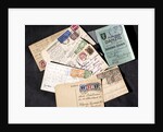 Documents from the free city of Danzig by Anonymous