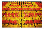 Yellow and orange paper lanterns by Anonymous