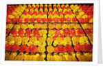 Yellow and orange paper lanterns by Anonymous