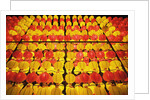 Yellow and orange paper lanterns by Anonymous