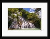Waterfall in forest by Anonymous