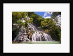 Waterfall in forest by Anonymous