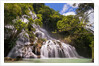 Waterfall in forest by Anonymous