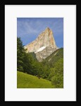 Cattle grazing at the foot of Mont Aiguille by Anonymous