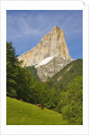 Cattle grazing at the foot of Mont Aiguille by Anonymous