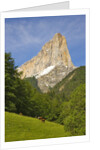 Cattle grazing at the foot of Mont Aiguille by Anonymous