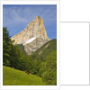 Cattle grazing at the foot of Mont Aiguille by Anonymous
