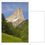 Cattle grazing at the foot of Mont Aiguille by Anonymous