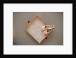 Ballet shoes waiting for the show by Anonymous