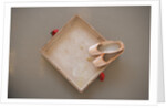 Ballet shoes waiting for the show by Anonymous