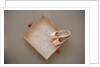 Ballet shoes waiting for the show by Anonymous