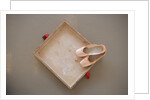 Ballet shoes waiting for the show by Anonymous