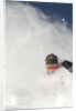 Skier in deep powder at Alta, Utah by Anonymous