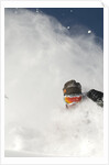 Skier in deep powder at Alta, Utah by Anonymous