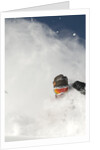 Skier in deep powder at Alta, Utah by Anonymous
