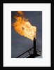 Natural gas flare by Anonymous