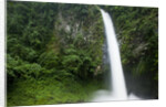 Waterfall in Rainforest Along Fortuna River by Anonymous