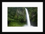 Waterfall in Rainforest Along Fortuna River by Anonymous