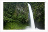 Waterfall in Rainforest Along Fortuna River by Anonymous