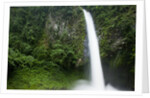 Waterfall in Rainforest Along Fortuna River by Anonymous