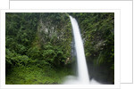 Waterfall in Rainforest Along Fortuna River by Anonymous