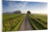 Country road between agricultural fields in England by Anonymous
