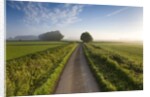 Country road between agricultural fields in England by Anonymous
