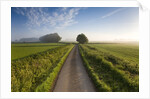 Country road between agricultural fields in England by Anonymous