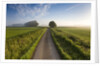 Country road between agricultural fields in England by Anonymous