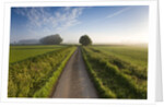 Country road between agricultural fields in England by Anonymous