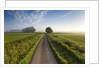 Country road between agricultural fields in England by Anonymous