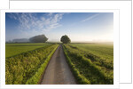Country road between agricultural fields in England by Anonymous