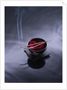 Burning incense on top of bowl of petals by Anonymous