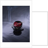 Burning incense on top of bowl of petals by Anonymous