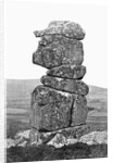 Bowerman's Nose near Chagford by Anonymous