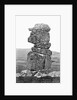 Bowerman's Nose near Chagford by Anonymous