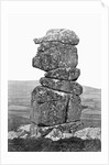 Bowerman's Nose near Chagford by Anonymous